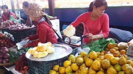 东兴基地佬吃瓜视频,一场别开生面的“吃瓜”盛宴