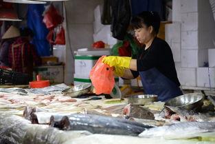 东兴基地佬吃瓜视频,一场别开生面的“吃瓜”盛宴