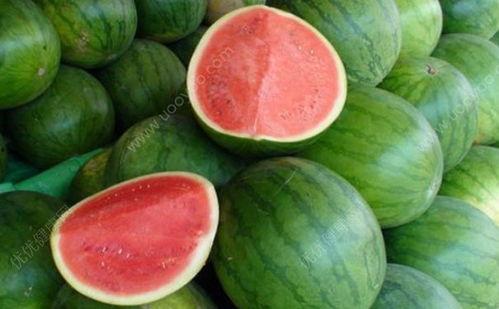 咳嗽可以吃银瓜吗,银瓜能否成为您的天然良药？