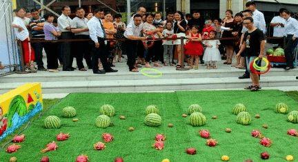 什么叫吃瓜大会,吃瓜大会背后的娱乐现象解析