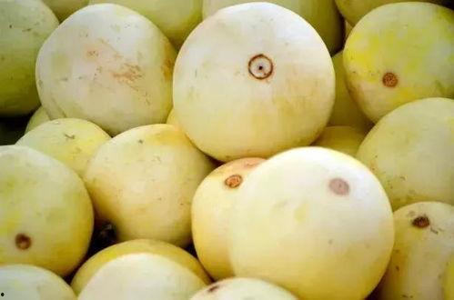 小梨吃瓜呀,揭秘娱乐圈那些事儿