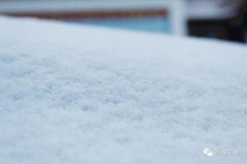 雪迷宫吃瓜,揭秘神秘事件背后的真相与谜团