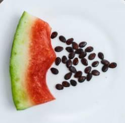 吃瓜不吃瓜籽,吃瓜不吃瓜籽，品味清新生活