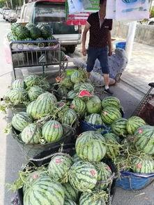 扬州近期吃瓜事件,揭秘背后真相与网络热议