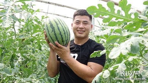 新乐市吃瓜事件