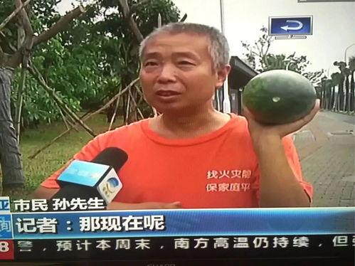 2024吃瓜热门事件,盘点那些引爆网络的热门事件