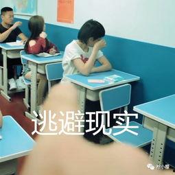 吃瓜讨债,一场别开生面的债务解决之旅