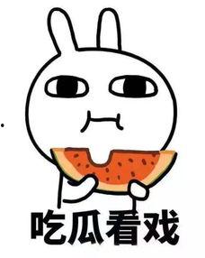 上亿吃瓜,上亿吃瓜群众见证的娱乐圈风云录