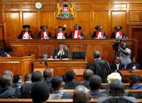 东北法庭女法官吃瓜,司法工作之外的趣味生活