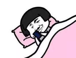 熄灯吃瓜,熄灯吃瓜，揭秘生活百态