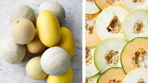 你喜欢吃哪些瓜,探寻我最爱的甜蜜诱惑