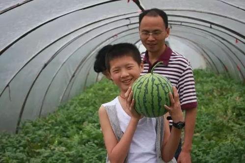 声控吃麒麟瓜,唤醒麒麟瓜的神秘力量