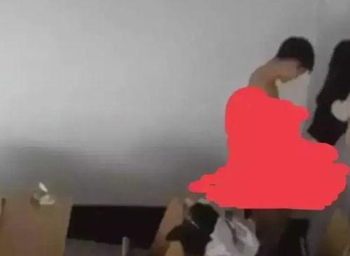 保定吃瓜事件学生,校园风波背后的真相与反思