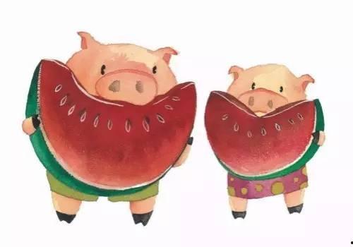 猪吃瓜音乐,探寻跨界融合的奇妙旋律之旅