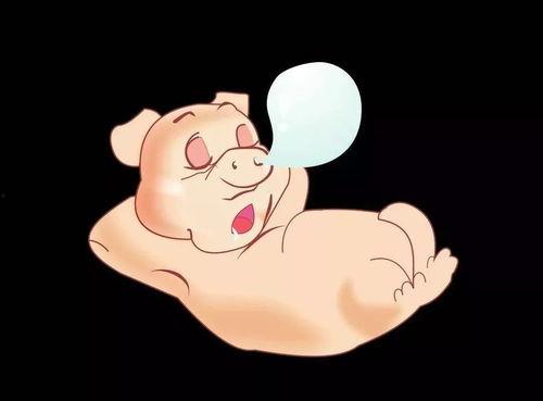 猪吃瓜音乐,探寻跨界融合的奇妙旋律之旅