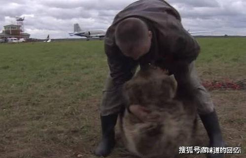 吃瓜吃一半被拉走,揭秘吃瓜背后的故事