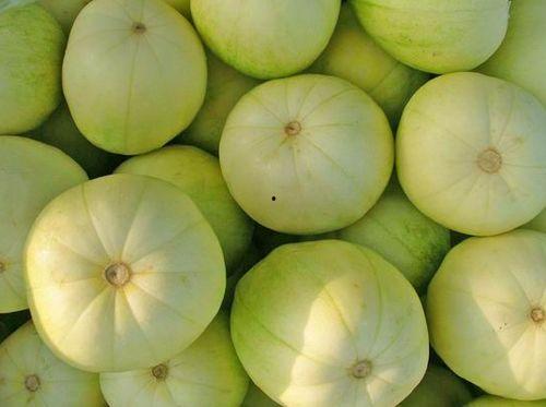 瓜变苦可以吃吗,揭秘食品安全与口感平衡