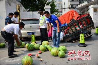 吃瓜打卡地郑州,瓜田里的城市打卡之旅