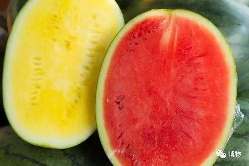 高庄吃瓜视频,揭秘网络热传视频背后的故事