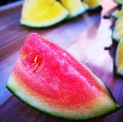 山东结婚吃瓜,一场热闹非凡的吃瓜盛宴