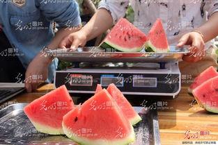 山东结婚吃瓜,一场热闹非凡的吃瓜盛宴