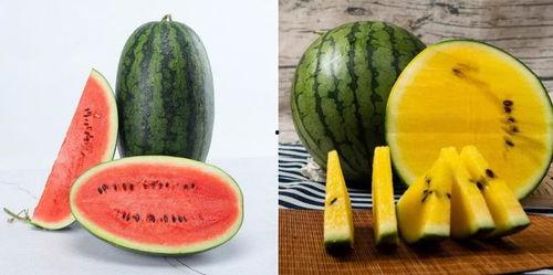 免费吃瓜的网,揭秘网络世界的娱乐狂欢