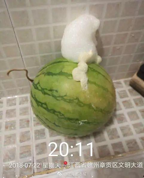 吃瓜少女吐泡泡视频,揭秘网络短视频的趣味魅力