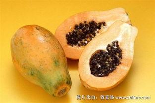 吃瓜神器哪个效果最好