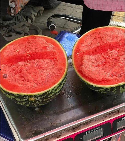 虚拟头像吃瓜图片,揭秘网络社交新潮流