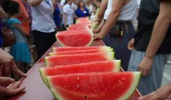 八抓鱼吃瓜,揭秘海洋中的“吃瓜”盛宴