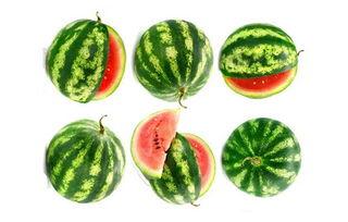 鹤壁市吃瓜,瓜果飘香，品味生活新滋味