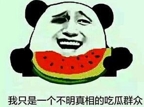 怎样玩吃瓜群众