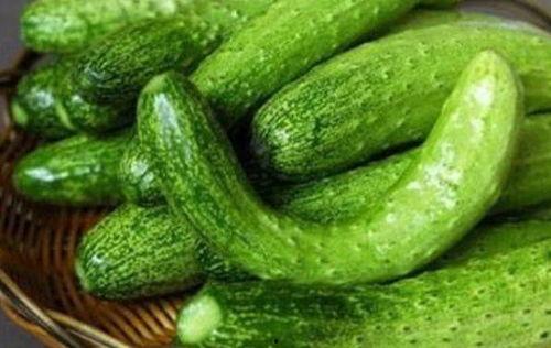 壁瓜怎么吃,探索壁瓜的多样美味