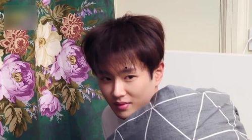 七颜吃瓜记,揭秘娱乐圈幕后故事