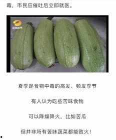 湖南湘阳吃瓜,探寻湖南湘阳特色美食之旅