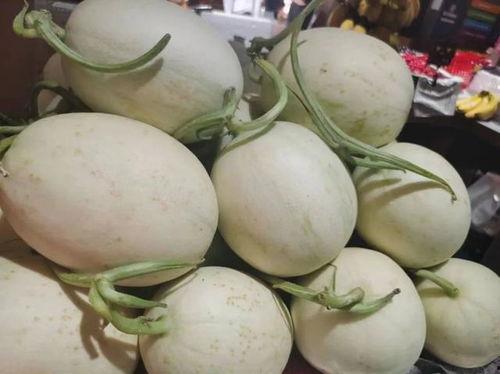 流学生外国吃瓜,一场文化碰撞的趣味之旅