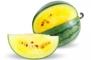 吃瓜必看的视频大全