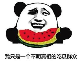 大logo吃瓜表情,揭秘网络潮流背后的趣味与内涵