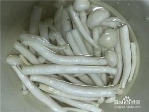 吃中药可以吃白玉菇瓜,中药滋补与美味共融的佳选