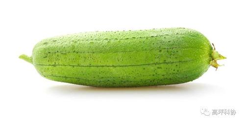 夏日吃瓜神器种类,各式吃瓜神器大盘点