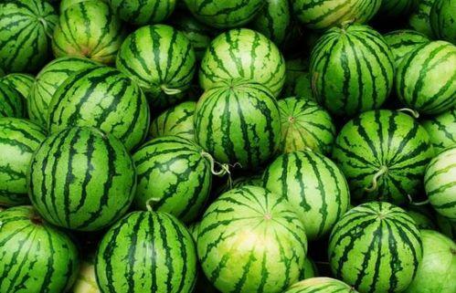 夏日吃瓜神器种类,各式吃瓜神器大盘点