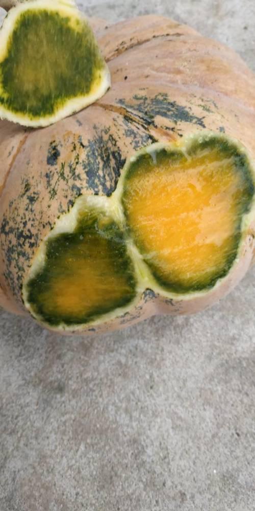 蜜瓜表皮的斑点可以吃吗,能否放心食用？