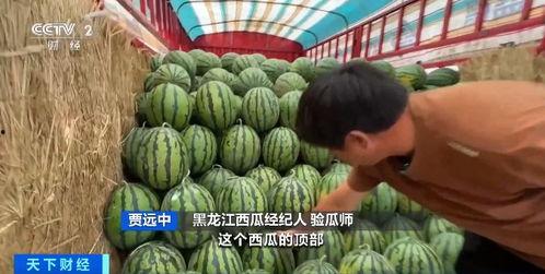 郑大钱吃瓜,揭秘娱乐圈幕后故事