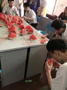 塔里木大学吃瓜大赛,瓜果飘香，欢乐满园