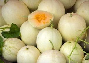 白洋瓜是白兰瓜吗怎么吃,美味瓜果的多样食用方式