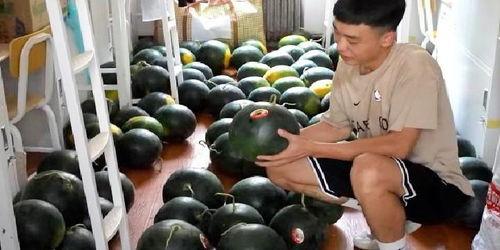 全校在线吃瓜,揭秘全校在线吃瓜热潮背后的故事