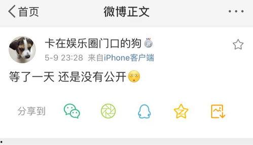 uwu吃瓜爆料在线,揭秘娱乐圈幕后真相