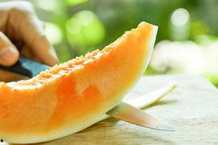 软皮瓜可以吃吗,美味可口的天然零食探索