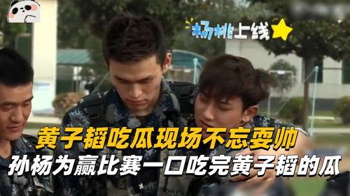 帅气吃瓜,揭秘娱乐圈的甜蜜与苦涩