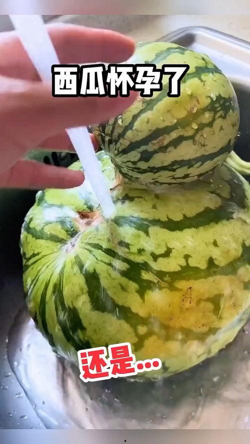 搞笑视频大全吃瓜,吃瓜群众必备